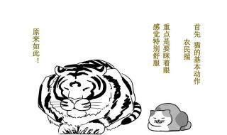 描写老虎外貌的好句子